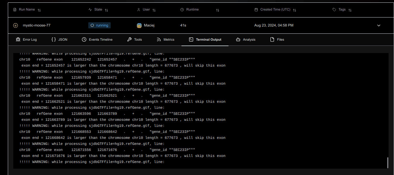 Terminal Output Streaming for Workflows