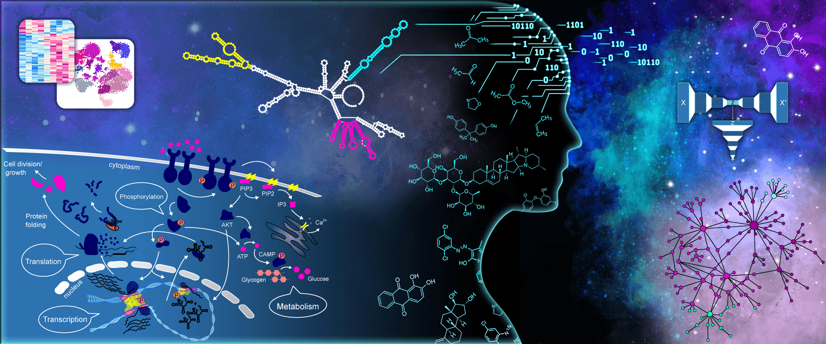 Observability For Biology (Part 2)